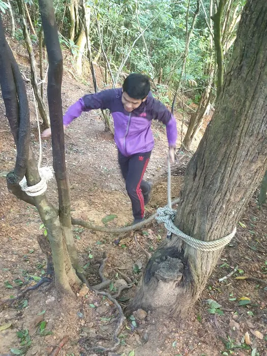 Bukit Botok Picture 8