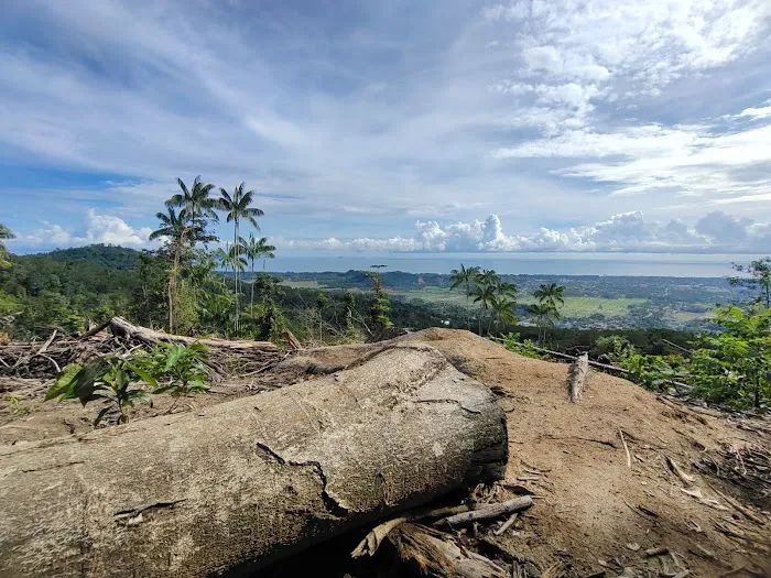 Kaki Bukit Pdg. Kemunting Picture 2