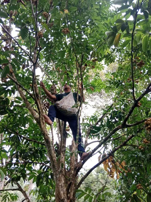Kaki Bukit Pdg. Kemunting Picture 5