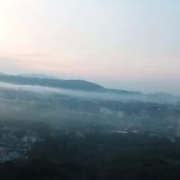 Vita armayanti ico