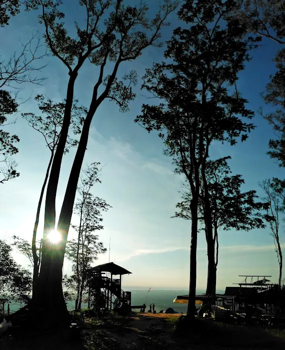 Puncak Bukit Maras Picture 3