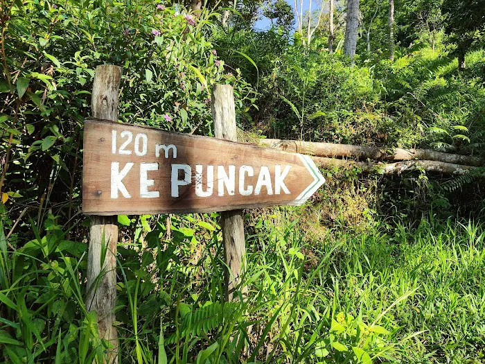 Puncak Bukit Maras Picture 9