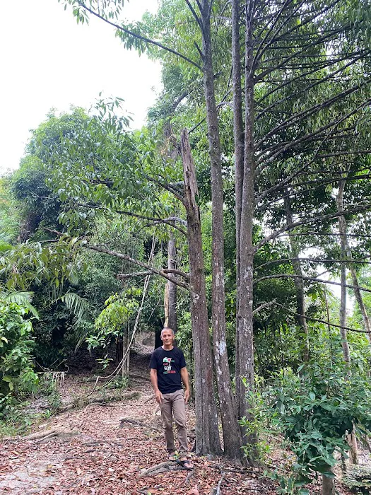 Bukit Besar, kampung bukit kemudu Picture 6