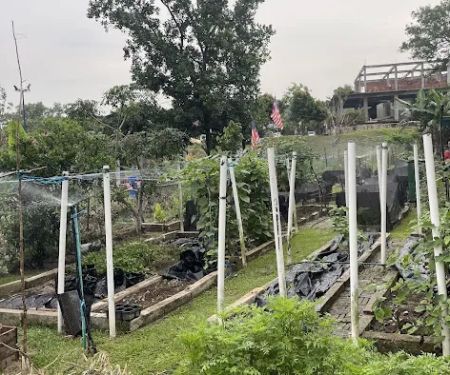 Kebun Komuniti BK4/8