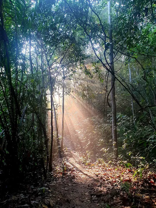 Bukit Serdang Hiking Trail Picture 2