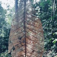 Dataran Cascades ico