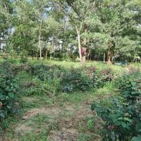 Bukit Serdang trailhead ico