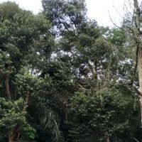 Bukit Serdang Trail | Taman Universiti Indah Entrance ico