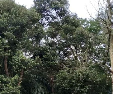 Bukit Serdang Trail | Taman Universiti Indah Entrance