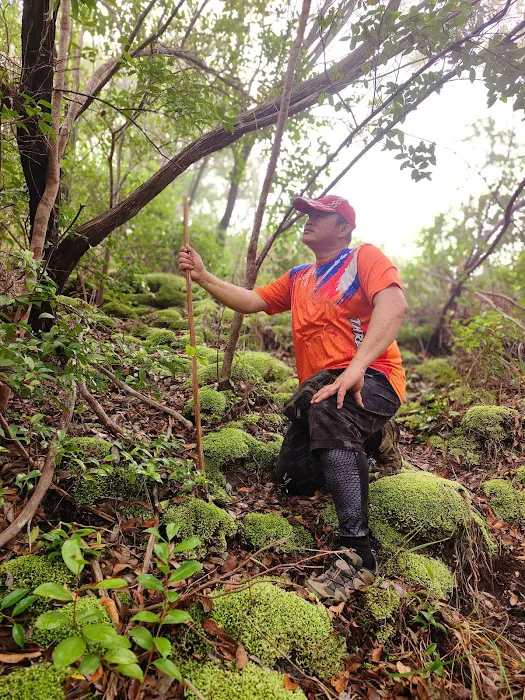 Puncak Gunung Bubu Gerik Picture 3
