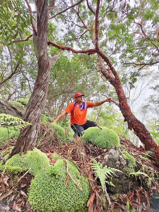 Puncak Gunung Bubu Gerik Picture 8