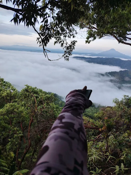 BUKIT BONGOR, GERIK, PERAK Picture 3