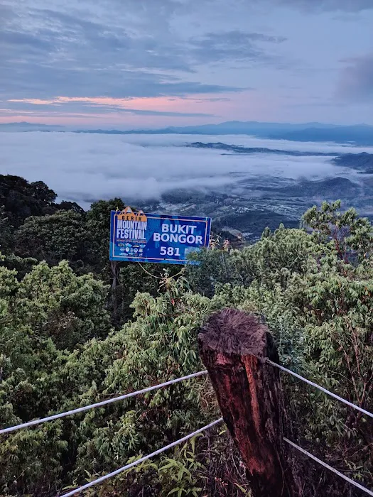 BUKIT BONGOR, GERIK, PERAK Picture 2