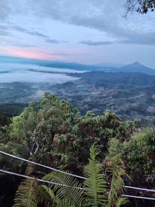 BUKIT BONGOR, GERIK, PERAK Picture 5