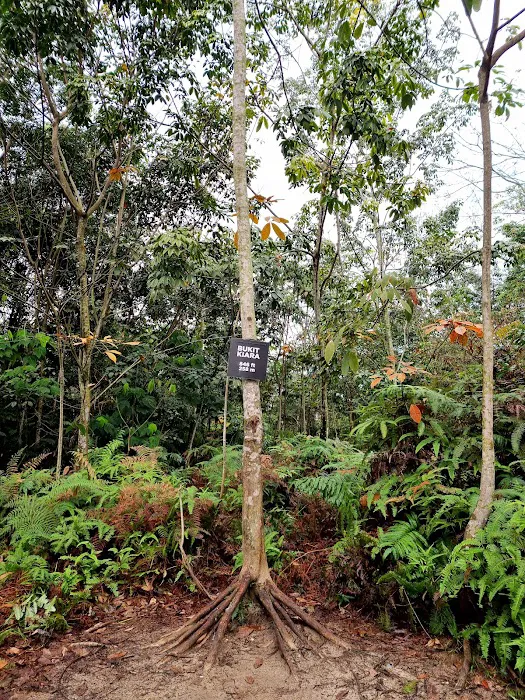Bukit Kiara Peak Picture 3