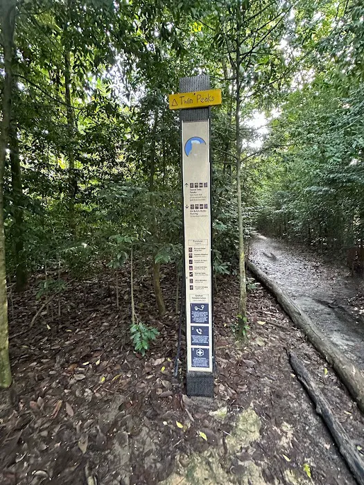 Bukit Kiara Peak Picture 6