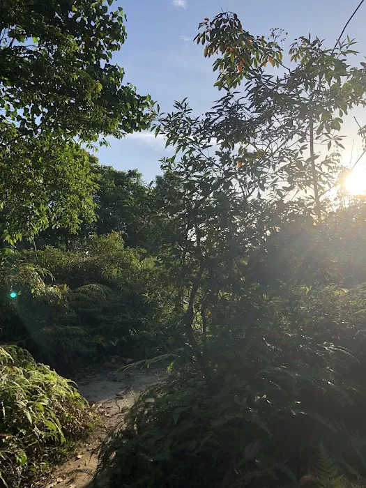 Bukit Kiara Peak Picture 9