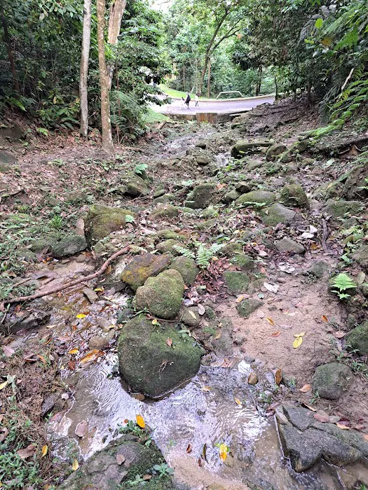 Bukit Kiara Peak Picture 7