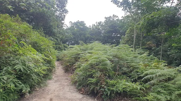 Bukit Kiara Peak Picture 4