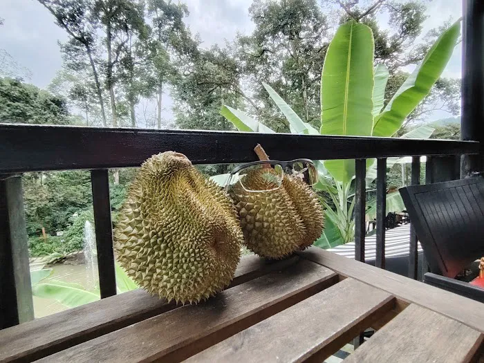 PUSAT LATIHAN DAN REKREASI LEMBAH IRFAN AHZA Picture 1