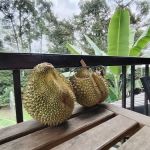 PUSAT LATIHAN DAN REKREASI LEMBAH IRFAN AHZA