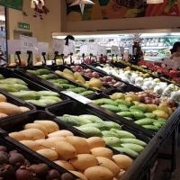 Sunway Giza Mall ico