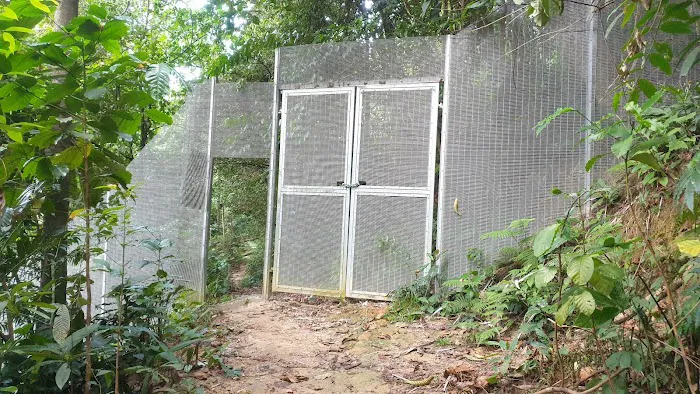 Fencing Kiara hill Picture 3