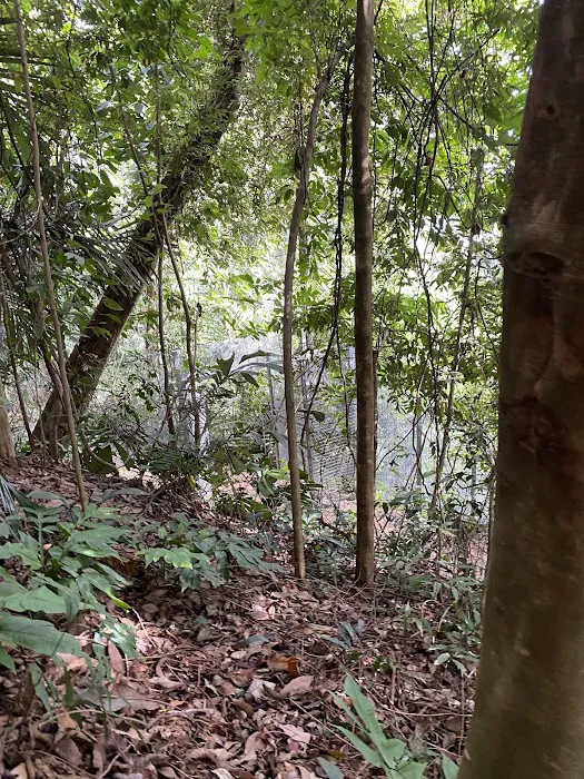 Fencing Kiara hill Picture 4