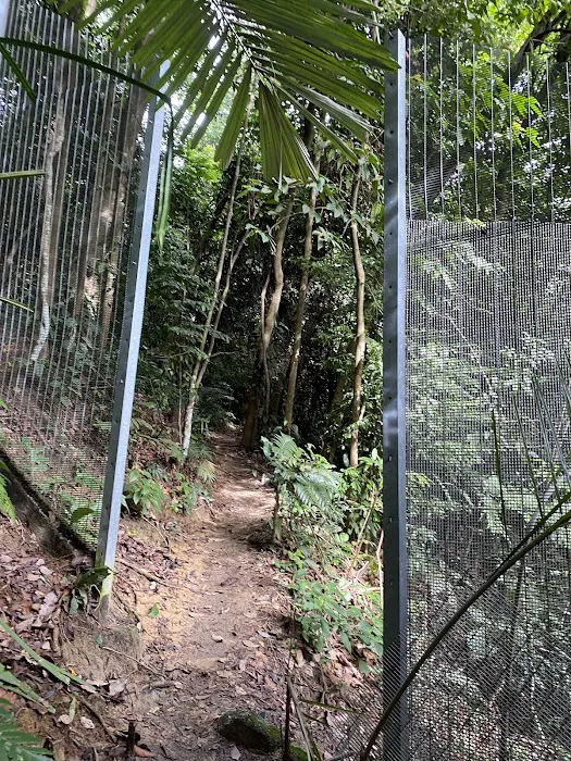 Fencing Kiara hill Picture 10