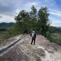 Bukit Semut, Gerik ico