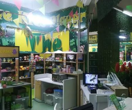 The Kids, Strand Mall Kota Damansara