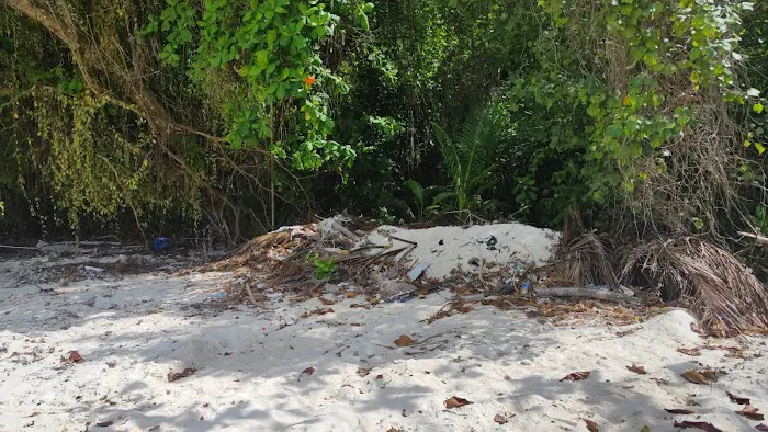 Pantai Pasir Air Picture 4