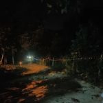 Kebun Tok Teh & Nenda