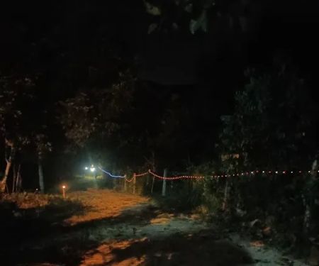Kebun Tok Teh & Nenda