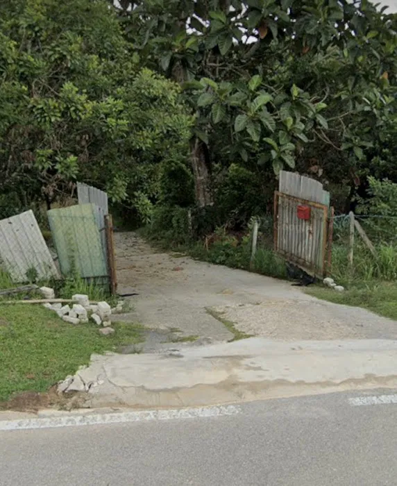 Kebun Tok Teh & Nenda Picture 3