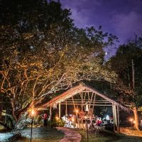 The Orchard ico