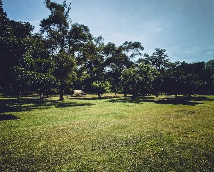 The Orchard Picture 3