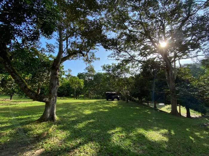 The Orchard Picture 10