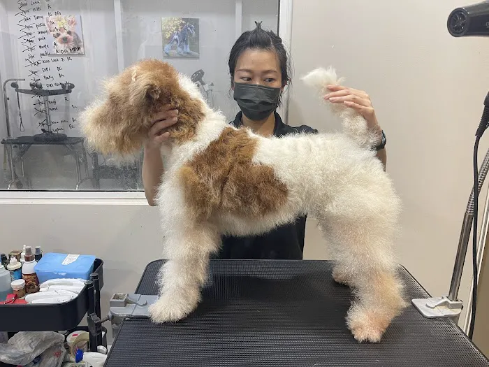 Oh My Dog Pets Salon Picture 3