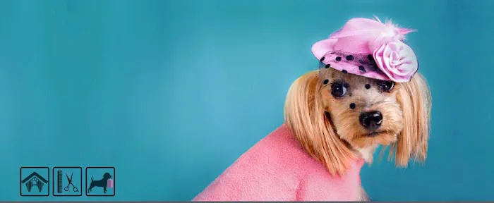 Oh My Dog Pets Salon Picture 1