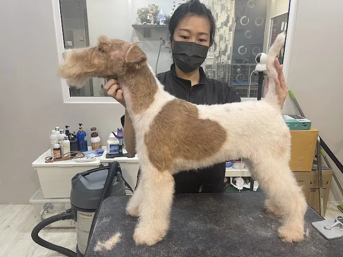 Oh My Dog Pets Salon Picture 8