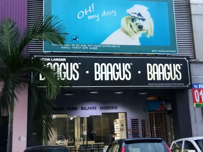 Oh My Dog Pets Salon Picture 5