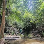 Pelindung Beach Trail