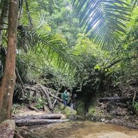 Pelindung Beach Trail ico