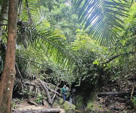 Pelindung Beach Trail