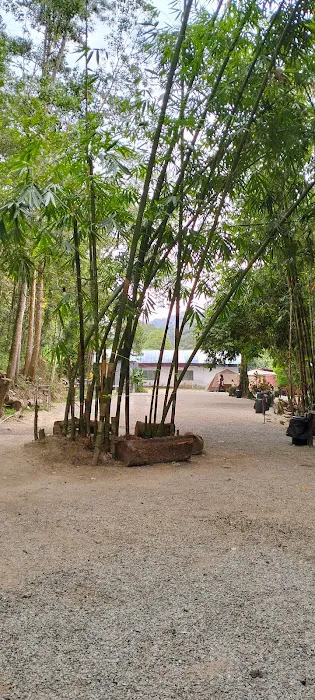 Betong Riverside Campsite Picture 7