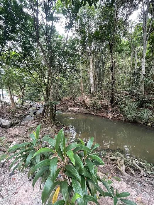 Betong Riverside Campsite Picture 5