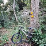 Trailhead of Pelindung mini waterfall