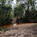 End Trail Pantai Pelindung