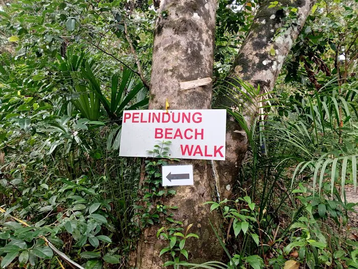 End Trail Pantai Pelindung Picture 4
